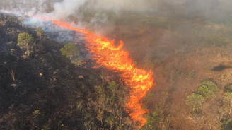 Queimadas avançam pelo Parque Nacional da Chapada dos Guimarães, em Mato Grosso. Região é próxima de resort onde ministros da agricultura do G20 estão reunidos