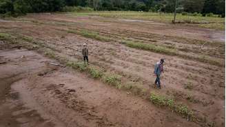 Em maio, produtores de centenas de cidades gaúchas, incluindo Caxias do Sul, perderam a lavoura devido à enchente