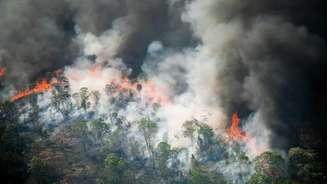 Calor, seca e riscos de incêndio estão aumentando na América do Sul, de acordo com estudo