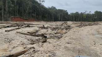 Área de desmatamento alvo de projeto de restauração ecológica: ciência faz a ponte entre esses tempos conflitantes das empresas e da natureza, harmonizando e buscando garantir o sucesso do processo Morfo/Divulgação