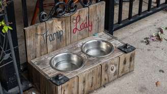 Para proteger seu cão de infecções, traga sua própria água e tigela quando estiver fora de casa. Se estiver usando uma tigela comum, certifique-se de que ela tenha sido limpa e reabastecida recentemente. Um pequeno esforço pode fazer uma grande diferença na saúde de seu cão. Dolores M. Harvey/Shutterstock