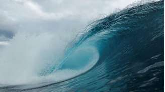 Um estudo identificou que 21% do oceano global está ficando mais escuro