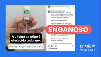 Especialistas ressaltam que a efetividade das vacinas é medida ao longo de décadas, e não somente em uma temporada, população ou desfecho.