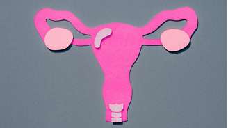 O útero não se encontra exatamente na mesma posição em todas as mulheres