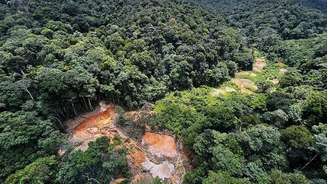 Pesquisas apontam que o garimpo e a mineração estão entre as principais formas de degradação da Amazônia que pode gerar novas epidemias ou pandemias
