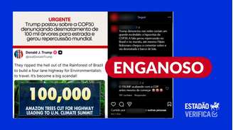 Avenida no Pará criticada por Trump não foi planejada para COP-30