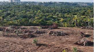 Parlamentares abriram caminho para a supressão de floresta nativa da Mata Atlântica, bioma que coincide com região densamente povoada do Brasil