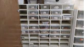 Polícias Civil e Militar Ambiental resgataram mais de 40 cobras.