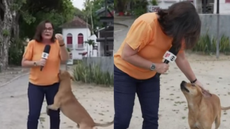 Bianka Carvalho acariciou o cachorro caramelo durant entrada ao vivo