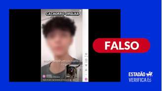 Não há evidências de que vídeo gravado por rapaz seja de um dos suspeitos da morte do cão Orelha