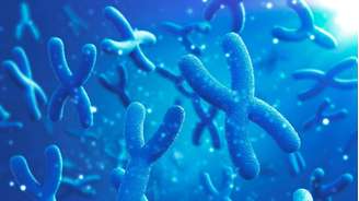 A razão pela qual os homens vivem menos que as mulheres pode estar na perda silenciosa do cromossomo Y