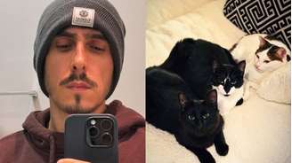 Gato de Felipe Castanhari morre após processo de dedetização em casa.