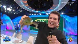 Quadro com rã exibido no Domingo Legal motivou ação judicial contra a emissora