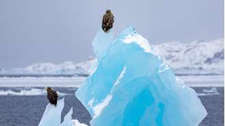 Um iceberg em Nuuk, em 7 de março de 2025. A Groenlândia perdeu 139 gigatoneladas de gelo no ano passado, o equivalente a 100 piscinas olímpicas.