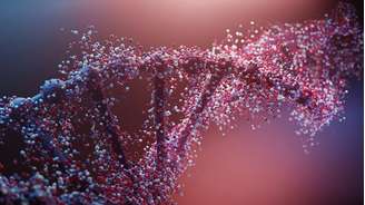 DNA