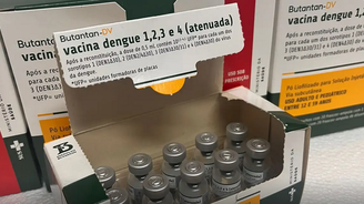 Vacina desenvolvida pelo Butantan contra a dengue começou a circular em janeiro, por meio do SUS, e foi suspensa neste mês de junho