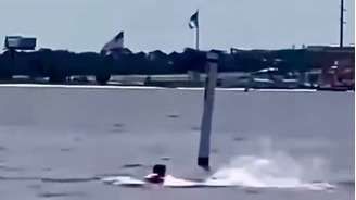 Funcionário da Marinha dos EUA é atacado por tubarão na Flórida.