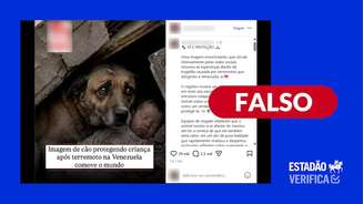 Foto em que cão protege bebê após terremoto na Venezuela foi gerada com IA
