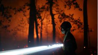 Bombeiro tenta apagar incêndios na floresta de Fontainebleau, em 13 de julho de 2026.