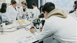 Estudantes no laboratório da Faculdade de Farmácia da Universidade de Coimbra (FFUC) em imagem de 2024.