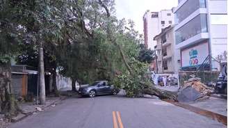 Árvore atinge carro no Boqueirão, em Santos.