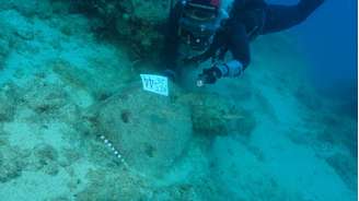 Os mergulhadores encontraram três âncoras de pedra, parte dos itens de reserva que os navios levavam em viagens longas