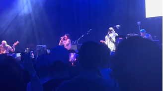 Red Hot Chili Peppers resgata raridades da era Hillel Slovak em show beneficente nos EUA