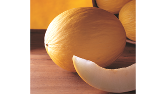 O melão é a principal fruta de exportação, com 181 milhões de quilos vendidos em 2012, o equivalente a US$ 134 milhões