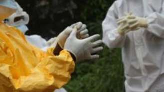 Profissionais da saúde devem usar equipamentos de proteção ao tratar de pacientes com ebola