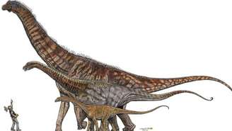 O Austroposeidon magnificus é o maior da ilustração, que compara o tamanho dele com o de outros dinossauros e um humano