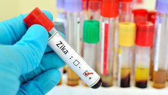 Perigoso para bebês, vírus Zika pode ajudar adultos a combater câncer, dizem cientistas