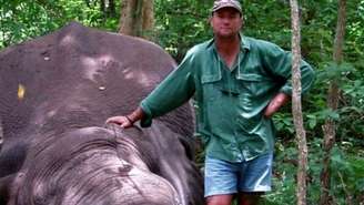 Elefante esmagou caçador após ser morto em safári no Zimbábue