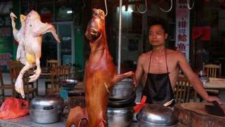 Cães vendidos em festival na China