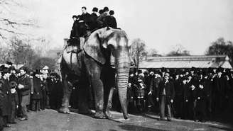Jumbo passeia com visitantes do zoológico de Londres; peso provocou lesões nos quadris e joelhos do elefante | Foto: Wiki Commons