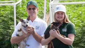 Alison Ettel e seu sócio Harry Rose fazem produtos médicos a base de maconha para seres humanos e animais / Foto: Alison Ettel