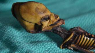 O esqueleto da múmia Ata tem 13 centímetros, mas ossos que aparentavam ser de uma criança de 6 anos | Foto: Emery Smith
