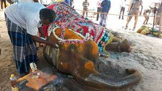 A elefante Rajeshwari morreu apenas dias depois que um defensor de animais conseguiu permissão para sacrificá-la em um tribunal