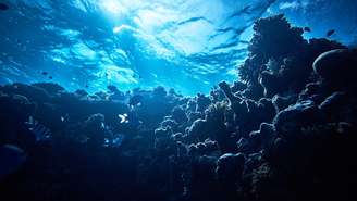 Apenas 15% do oceano do planeta é mapeado