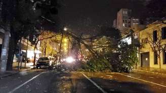  Em Caxias do Sul, a intensidade do vento foi tão forte que derrubou árvores