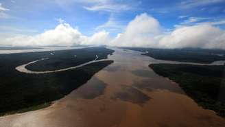 Para o projeto da Terceira Via Amazônica, ganhar dinheiro com a floresta é a melhor forma de preservá-la