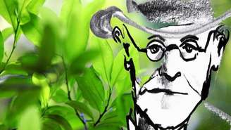 Freud queria investigar minuciosamente a planta que era tradicionalmente usada na América do Sul