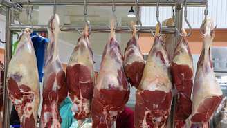 O Brasil é hoje o maior exportador de proteína halal do mundo