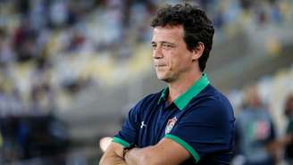 Fernando Diniz é o treinador do Fluminense (Foto: LUCAS MERÇON / FLUMINENSE F.C.)