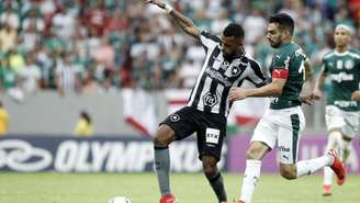 Botafogo e Palmeiras jogaram no sábado, e o Verdão venceu por 1 a 0 (Foto: A. Marques/DiaEsportivo/Lancepress!)