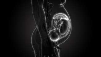 Pesquisa aponta que, durante a gravidez, a placenta envia 'mensagens' para o sistema imunológico