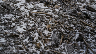 Os ossos de centenas de pessoas foram encontrados em 1942 por um guarda florestal