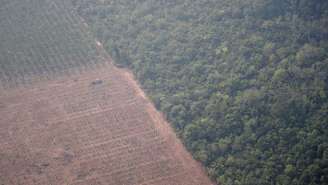 Imagem aérea do último dia 22 mostra trator em uma plantação ao lado de floresta perto de Porto Velho (RO); presidente da SRB não vê contradição entre preservar e aumentar produção