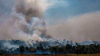 Número de incêndios registrados no Brasil aumentou significativamente em 2019, mas em alguns períodos entre 2002 e 2010 as quantidades registradas foram ainda maiores