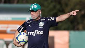 Mano Menezes assumiu o comando técnico do Palmeiras há cerca de duas semanas (Foto: Divulgação/SEP)