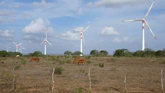 Nordeste é responsável por 86% da produção de energia eólica do Brasil